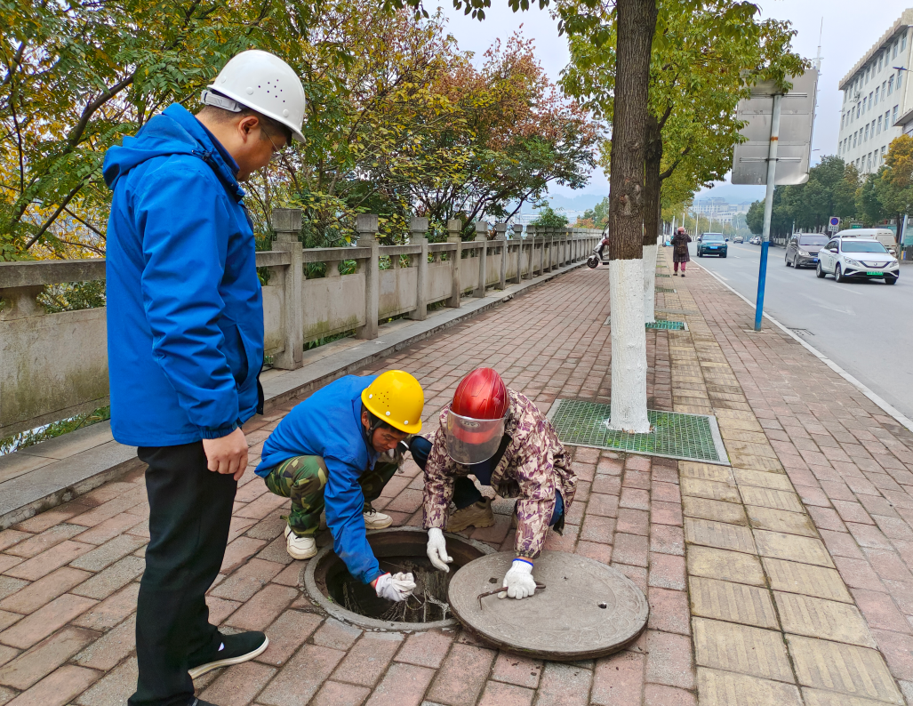 1736384185687573.png 1736384185687573.png